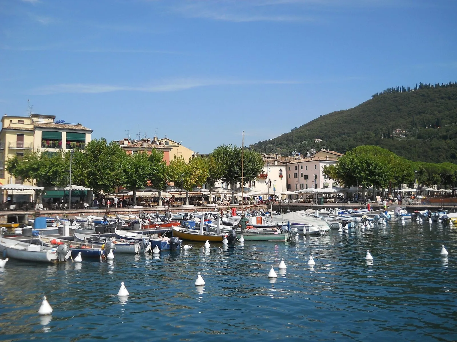 Il porticciolo di Garda con le barche ormeggiate, il lungolago alberato e la collina alle spalle