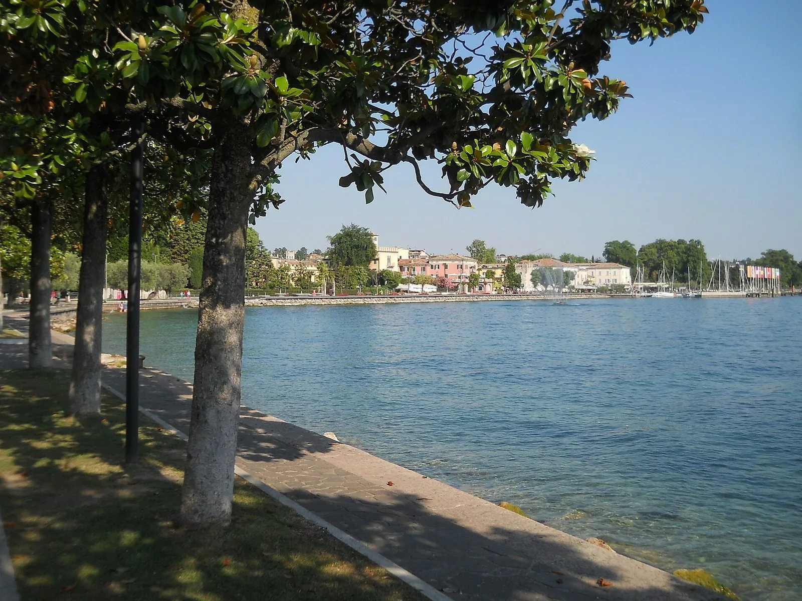 Il lungolago alberato di Bardolino affacciato sul Lago di Garda in una giornata di sole